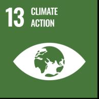 SDG 13 Image