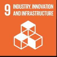 SDG 9 Image